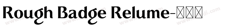 Rough Badge Relume字体转换
